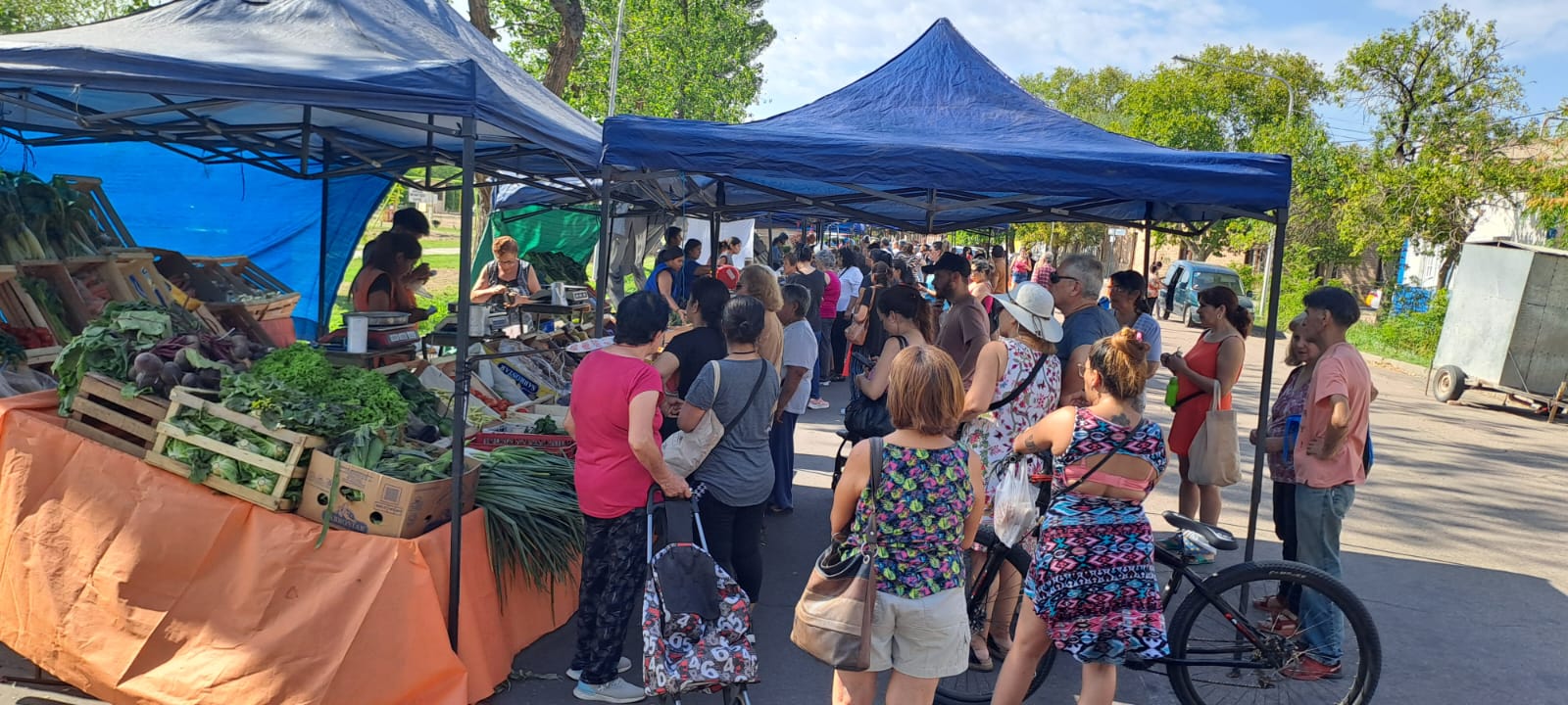Vecinos aprovechan las ofertas de la Feria Franca Municipal