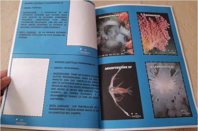 CONICET-album-de-figuritas