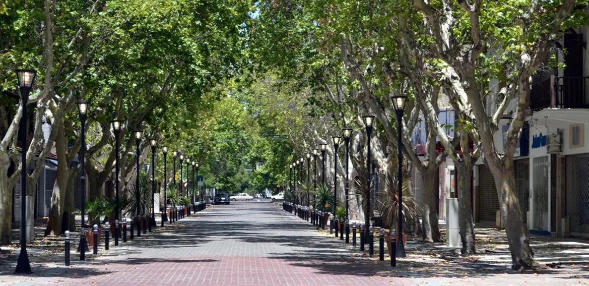 Feriado 8 de diciembre 