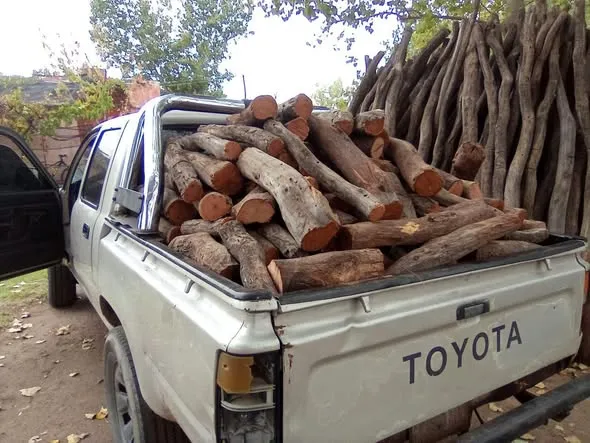 Precio-de-la-Lena-en-San-Rafael.