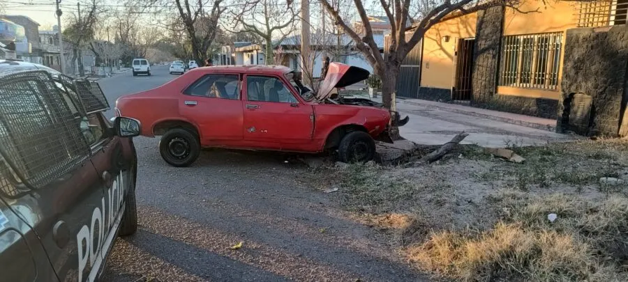 Sucedió entre Luzuriaga y Alemania