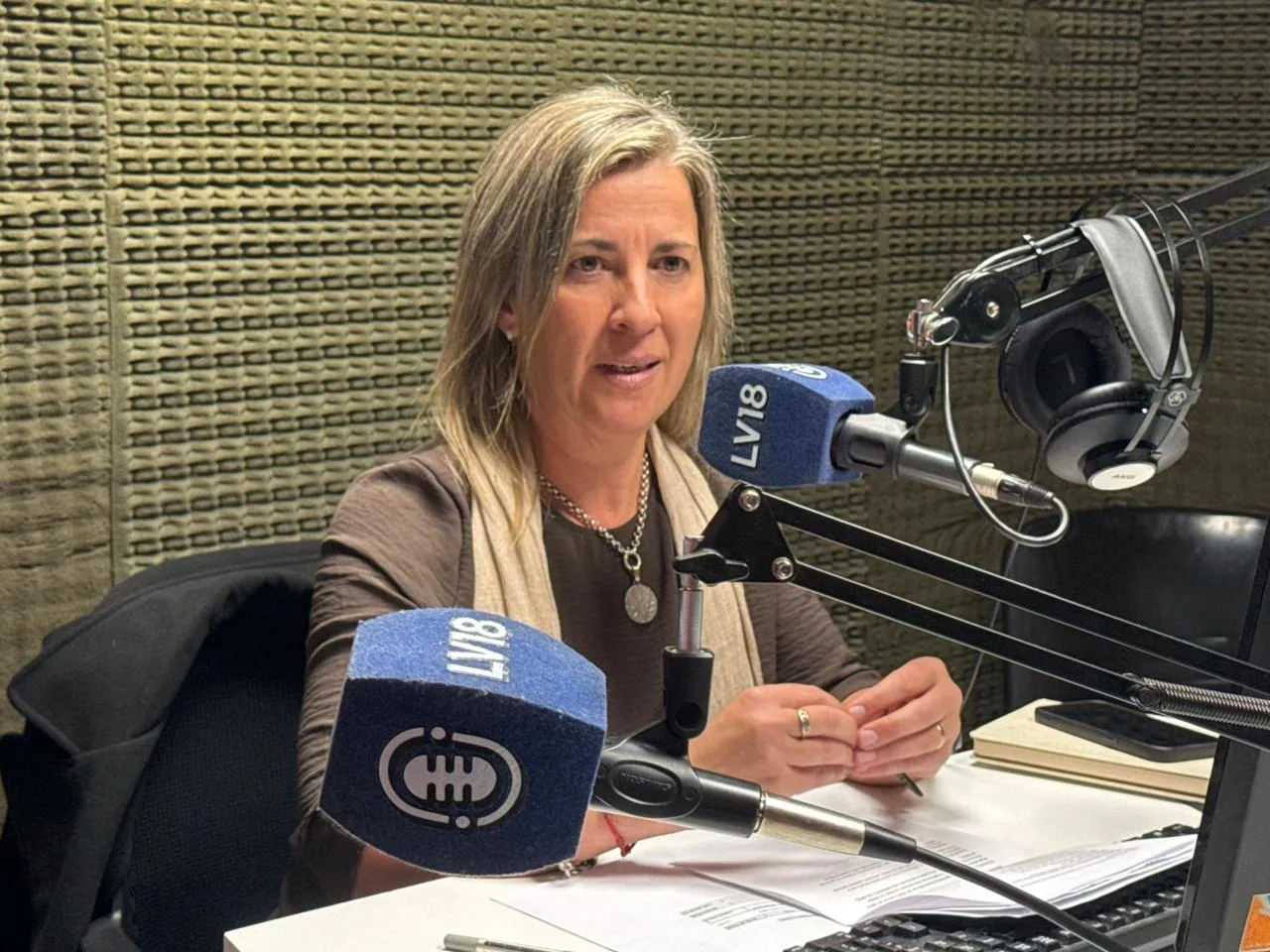 Andrea Fichetti brindó detalles técnicos sobre el avance de la obra.