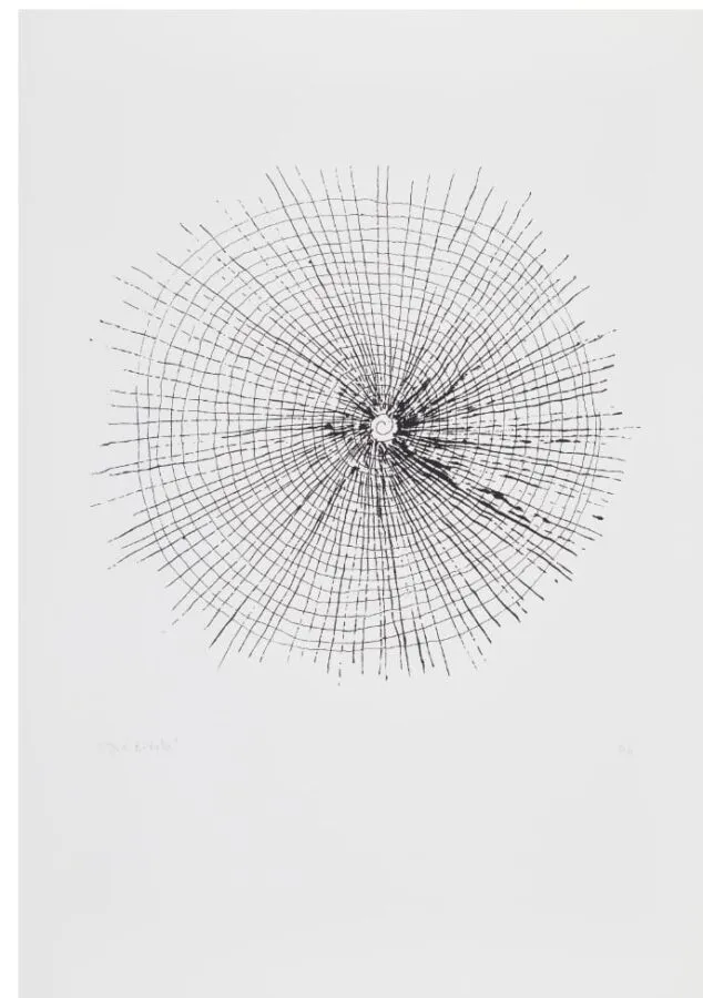 El catálogo ya se encuentra habilitado.