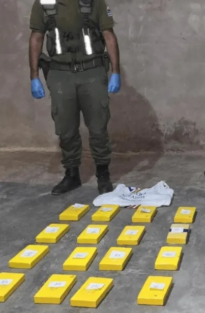 Operativo de Gendarmería Nacional cocaina-drogas-mendoza