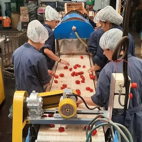 Debido a la crisis en el sector, la empresa Didier SRL cierra tras más de 50 años de actividad.