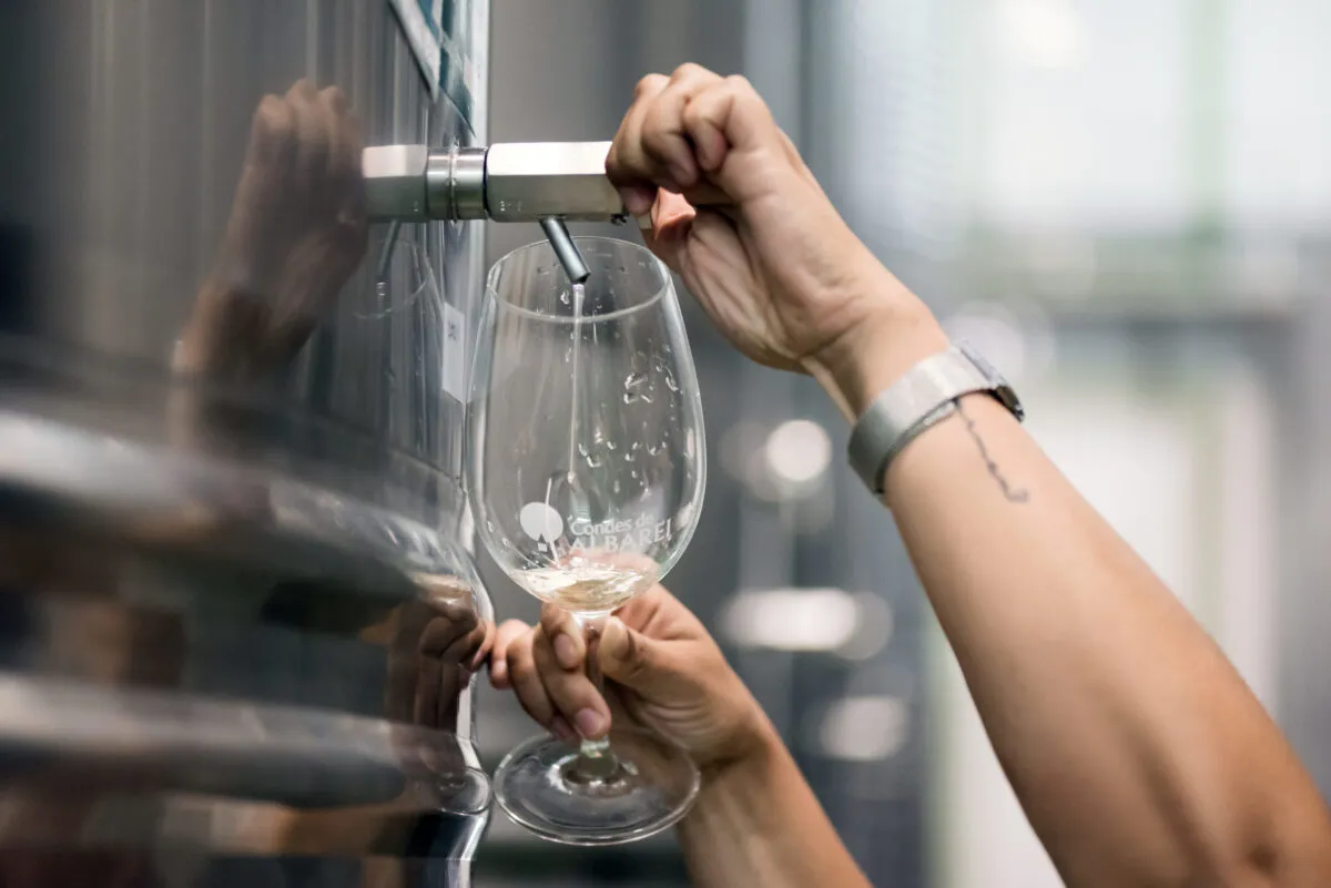 Enólogos advierten que la desregulación impacta en responsabilidades técnicas y trazabilidad.