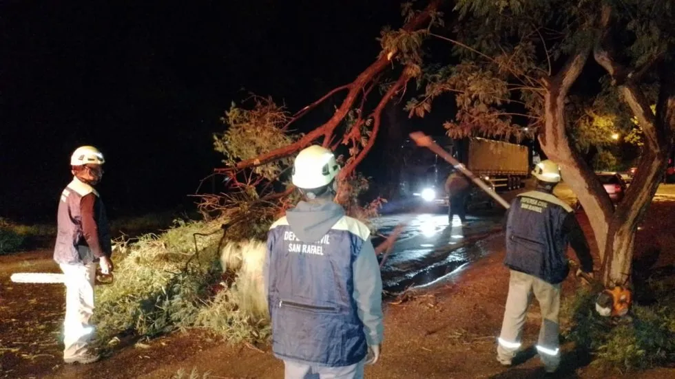Calles anegadas y árboles caídos en Cuadro Benegas