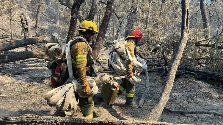 Brigadistas y bomberos voluntarios trabajan sin descanso para contener las llamas.