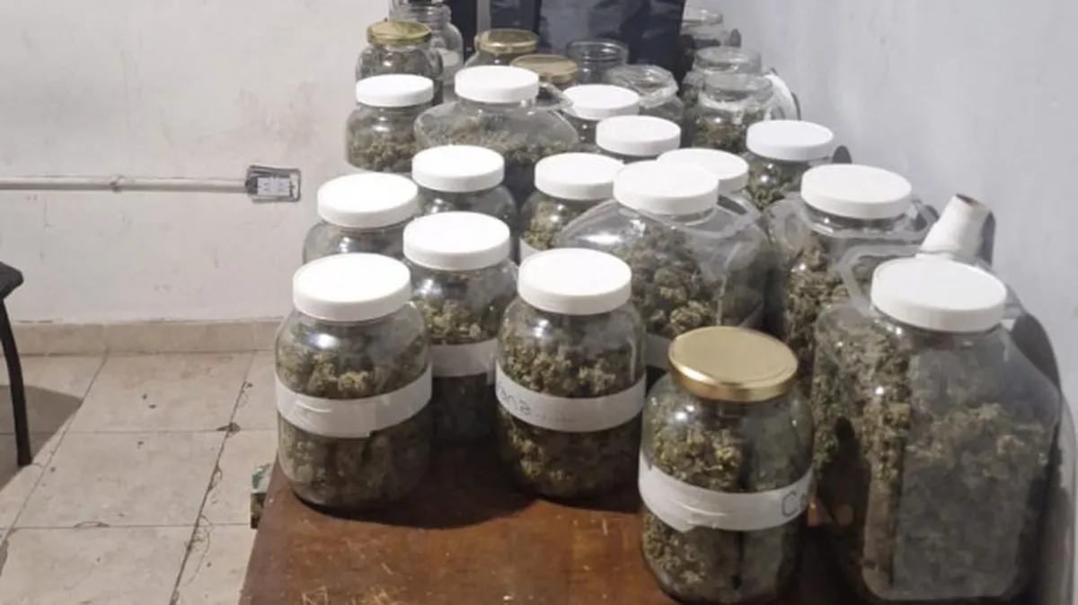 En los operativos secuestraron marihuana, municiones y dinero.