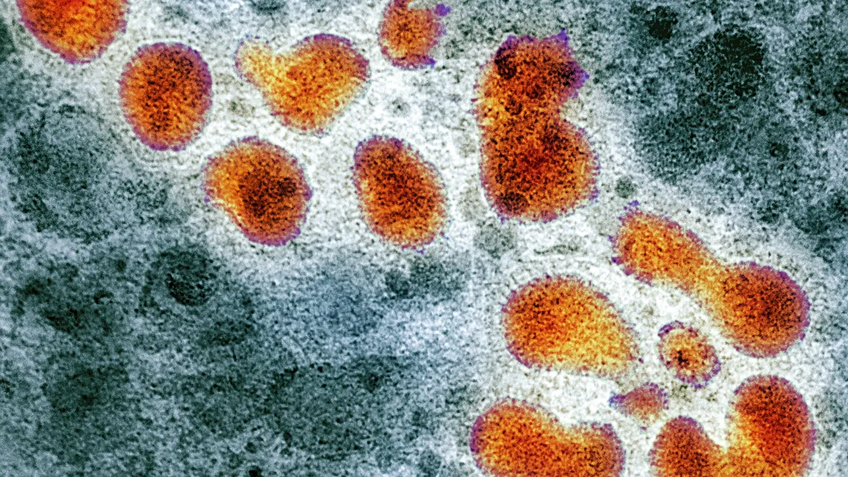 gripe-h3n2-subclado-k