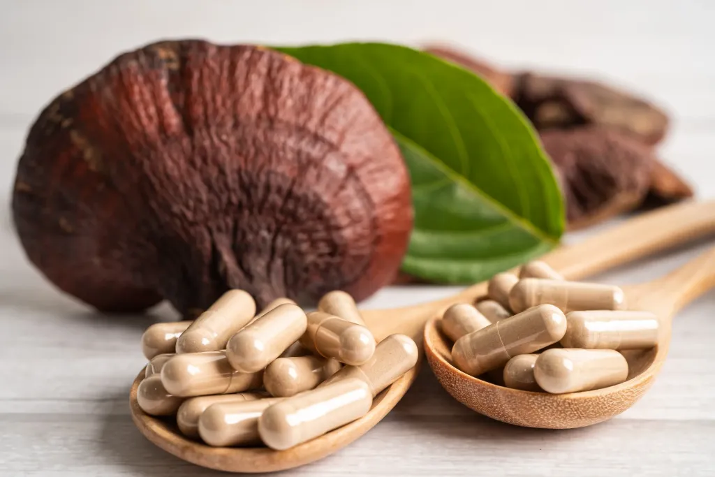 Tratamientos con Psilocibina