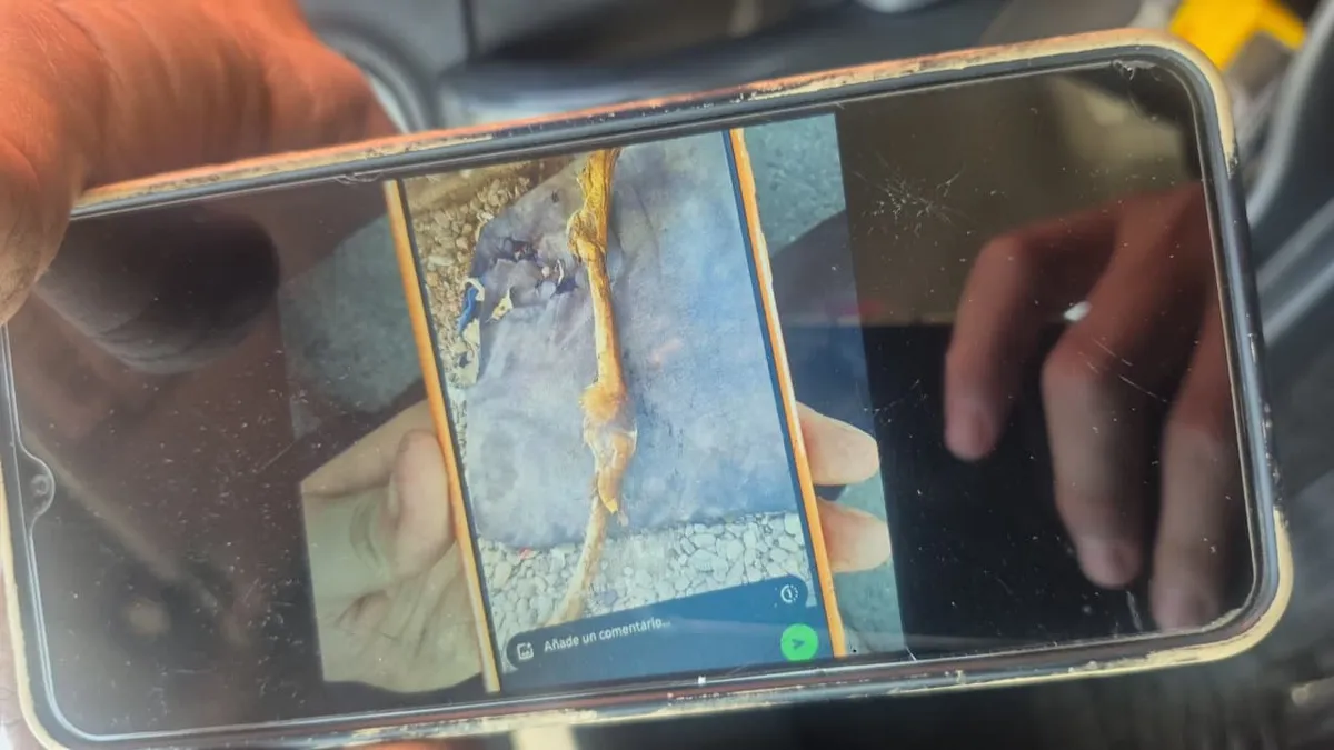 Hallazgo de huesos humanos en Maipú