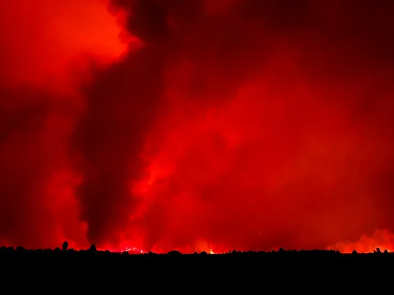 Más de 40.000 hectáreas fueron consumidas por los Incendios en la Patagonia en Chubut.