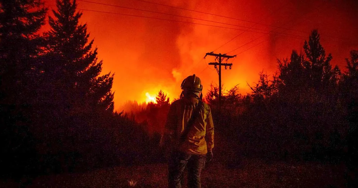 Emergencia Ígnea en Chubut, Río Negro, Neuquén y La Pampa por el avance del fuego.