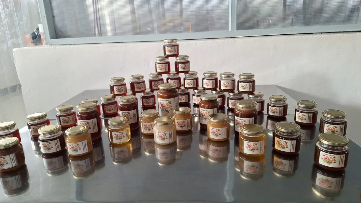 Producción apícola en San Rafael