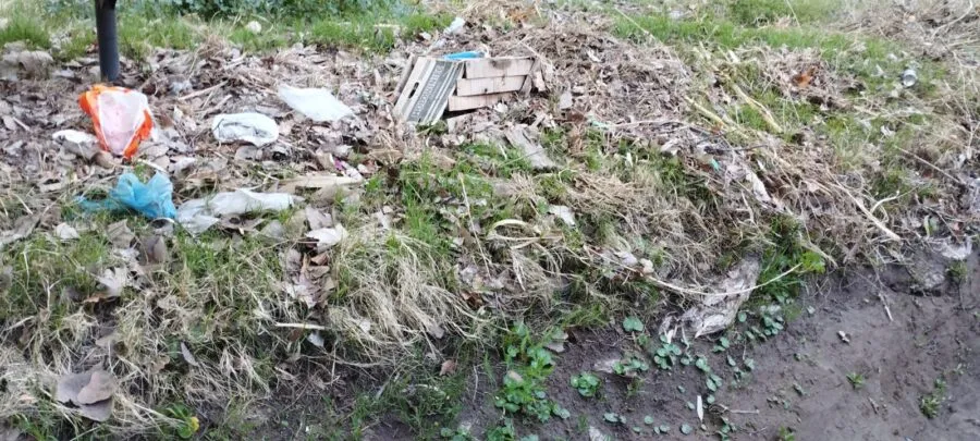 Vecinos señalan la acumulación de ramas y basura en las acequias.
