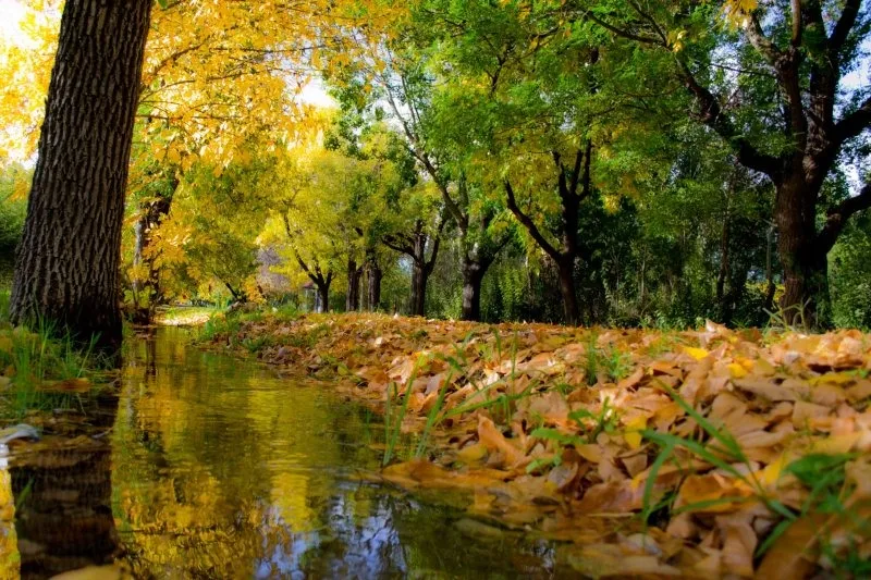 El otoño transforma a la Villa 25 de Mayo en una postal única entre árboles dorados, historia y tranquilidad mendocina.