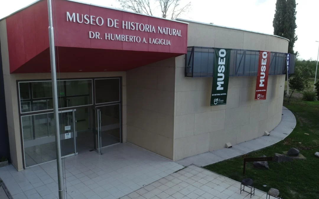 Noche de los Museos en San Rafael: una jornada diferente en el Museo de Historia Natural