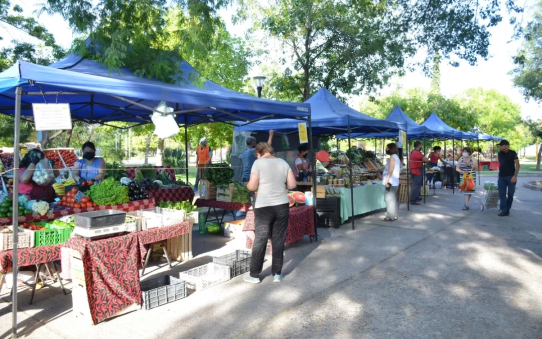 Vuelve la Feria Franca Municipal a la Plaza Espínola