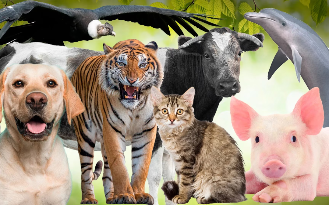 Día Mundial de los Animales