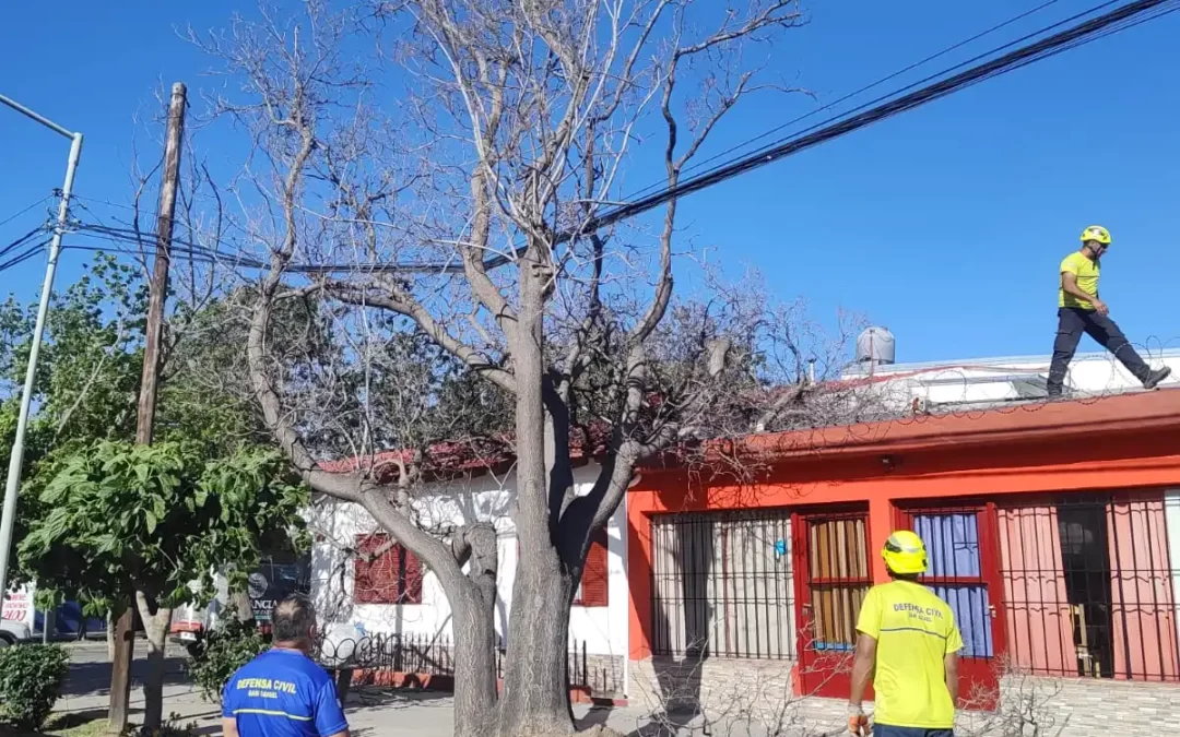 Por el viento, el municipio tuvo cerca de 300 intervenciones el fin de semana