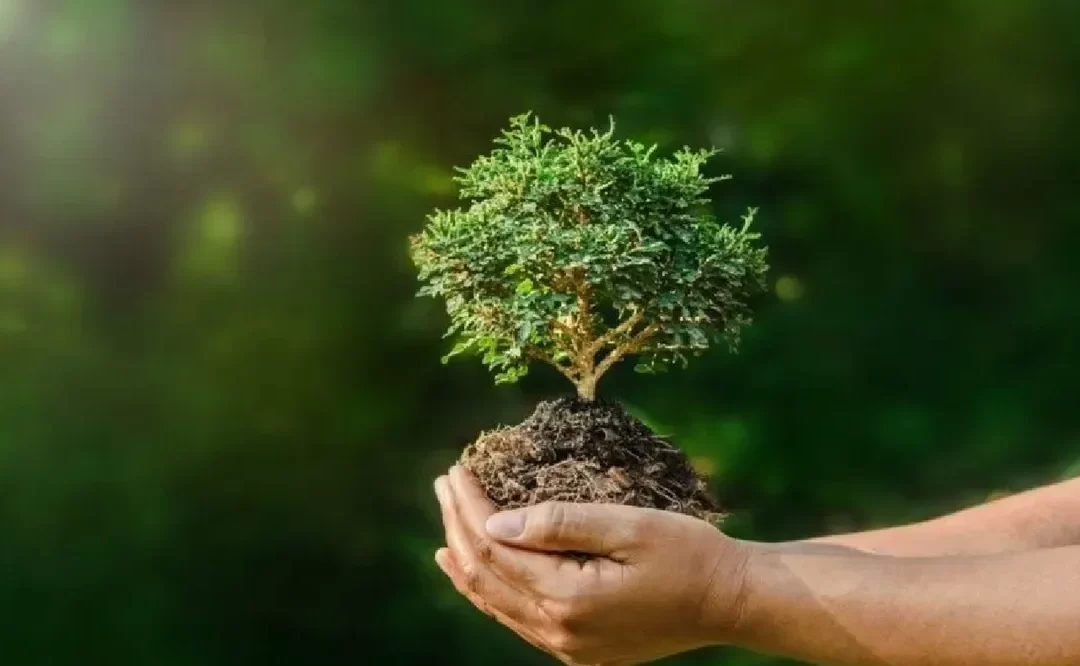 Día Mundial por la Protección de la Naturaleza