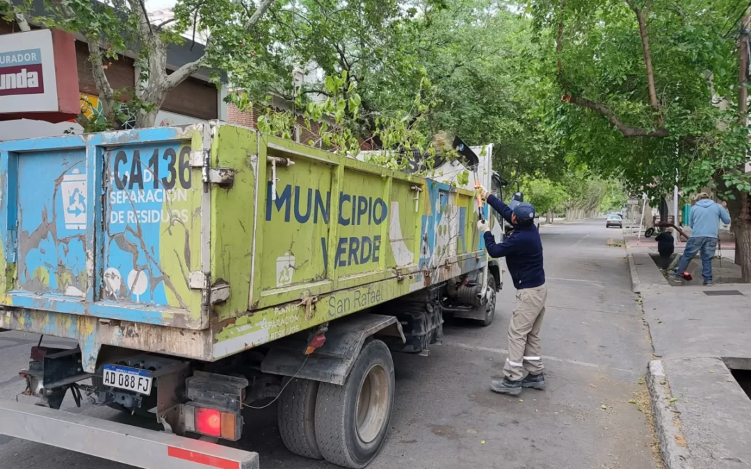 Tras el viento, las aéreas municipales trabajan en recuperar la limpieza y el orden
