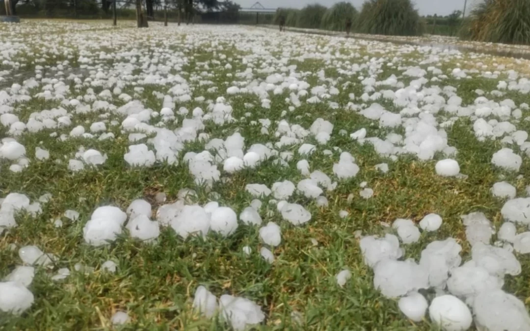 Fuerte tormenta de granizo en Valle de Uco y el Este de la provincia
