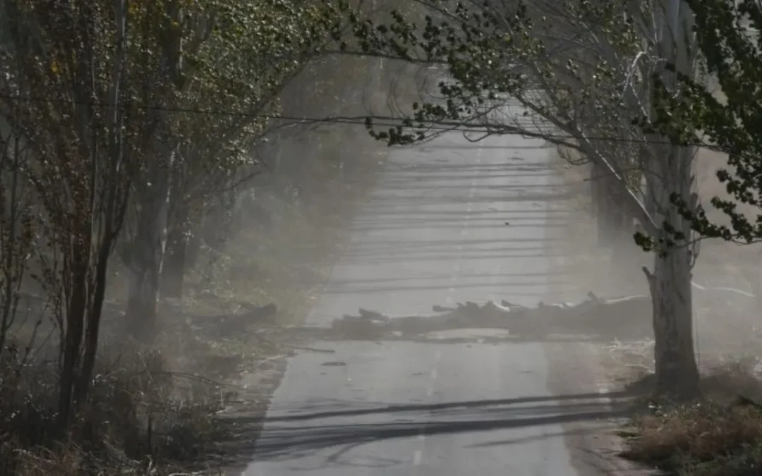 Atención: hay alerta amarilla por viento fuerte