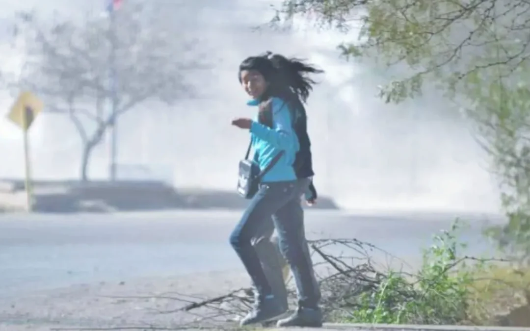 Alerta amarilla por vientos fuertes: ¿qué zonas se verán afectadas y cómo prepararse?