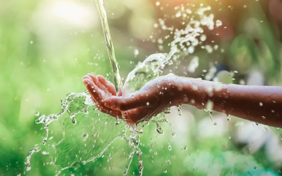 Día Mundial del Agua