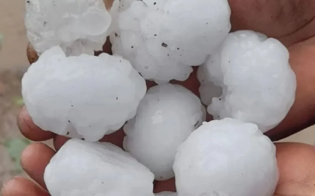 Irrigación se sumó a la emergencia agropecuaria y anunció beneficios para los productores