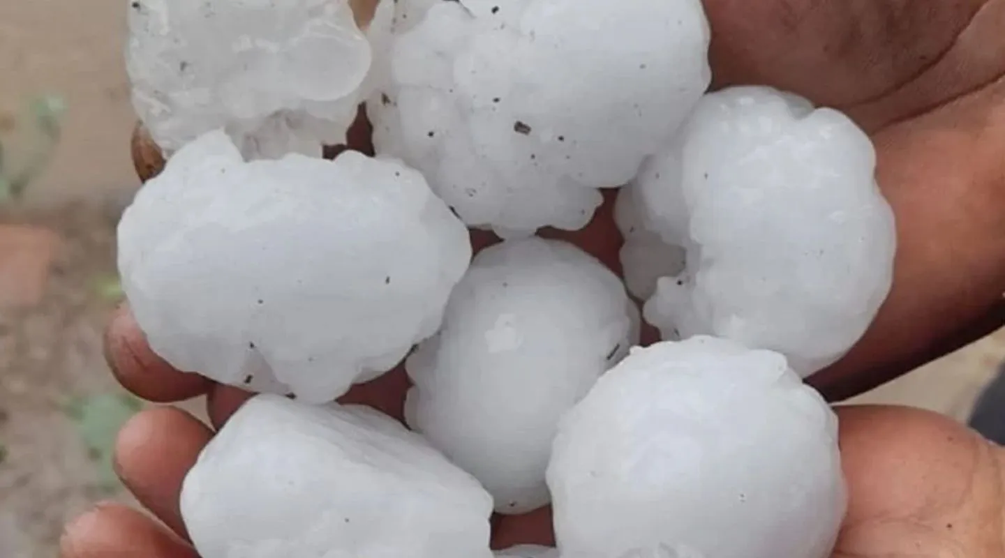 xr:d:DAF0_x6ts00:92,j:396732028005992442,t:24011213