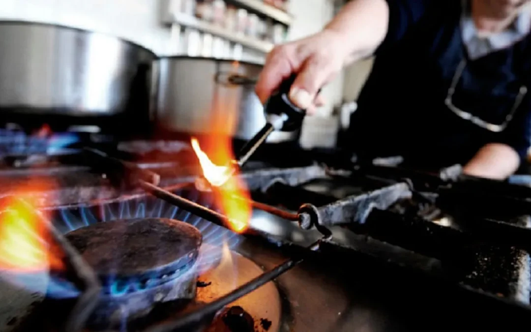 Zonas Frías: Mendoza continuará con tarifa subsidiada