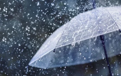Fin de semana en San Rafael: propuestas para disfrutar pese a la lluvia