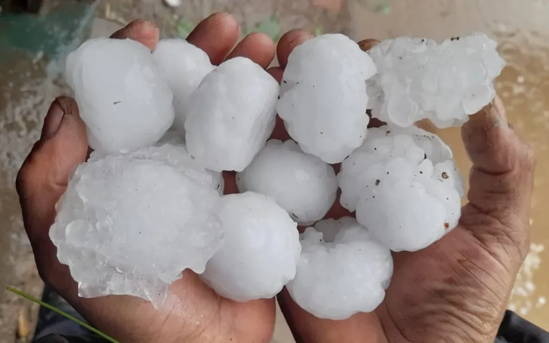 Vuelven las tormentas: rige alerta amarilla en General Alvear y San Rafael