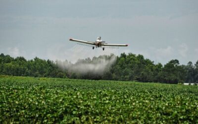 Denuncian a frigoríficos de Brasil por la “destrucción química” del Pantanal