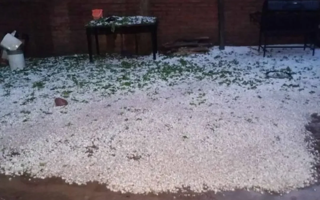 Para el intendente de San Carlos la tormenta granicera “fue impresionante”