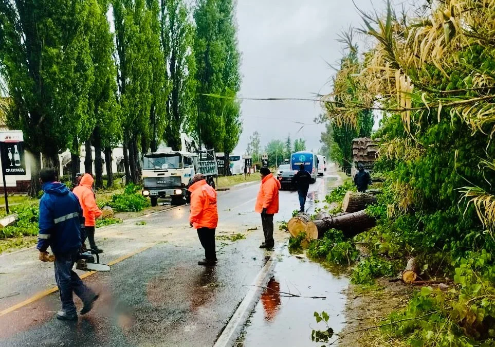 Continúan las tareas Municipales de asistencia frente a la torrencial lluvia de las últimas horas