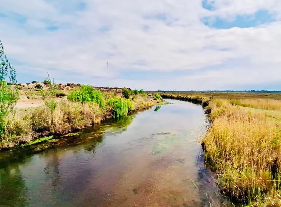 Zona Este: comenzaron las obras del nuevo balneario Municipal sobre el Río Atuel