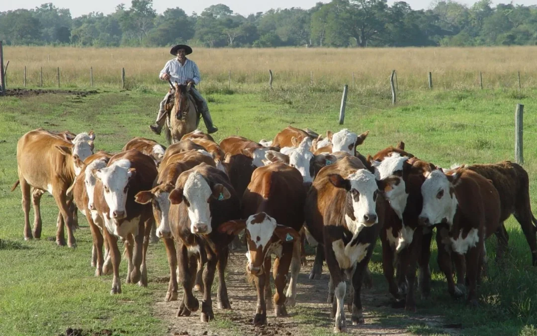 Día Nacional del Trabajador Rural