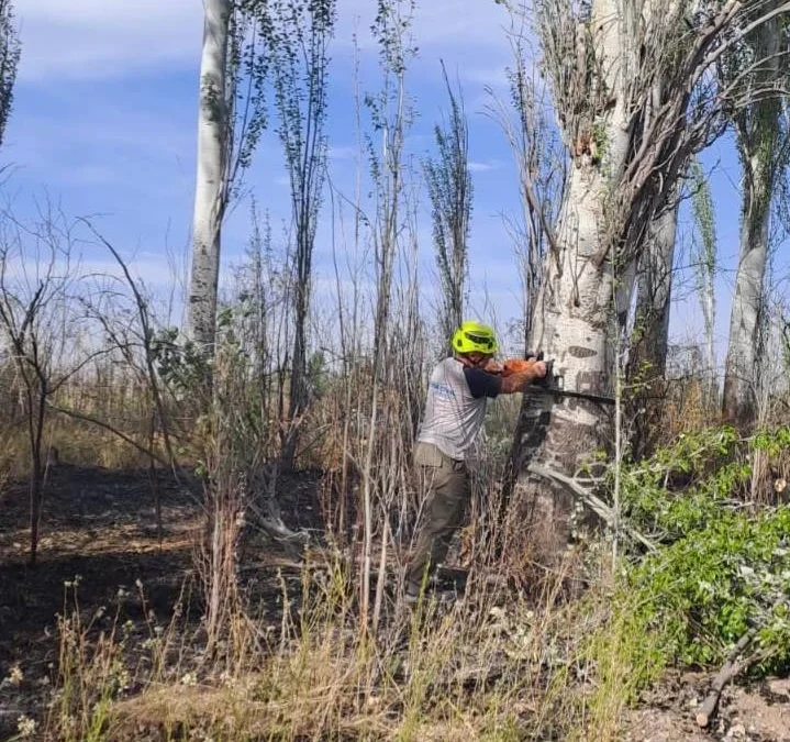 Viento Zonda: El Municipio realizó más de 70 intervenciones