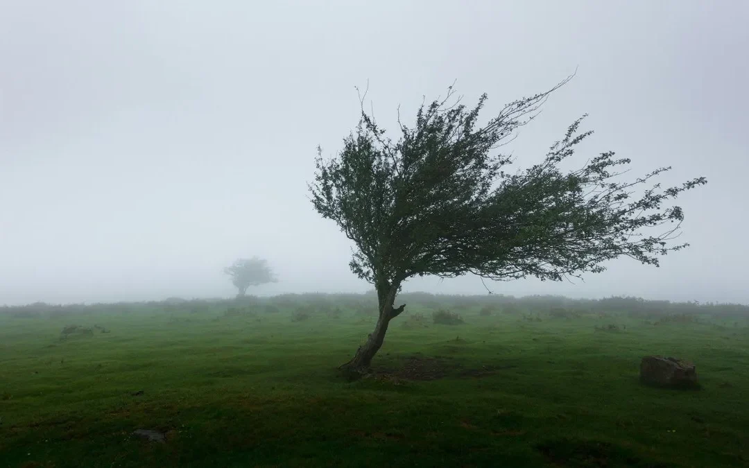 Alerta amarillo por vientos fuertes para esta noche en General Alvear y San Rafael
