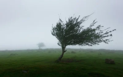 El viento vuelve a complicar al sur mendocino: prevén ráfagas de hasta 90 km/h
