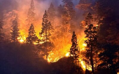 Bariloche también arde: el incendio forestal en el Parque Nacional Nahuel Huapi lleva más de dos semanas activo