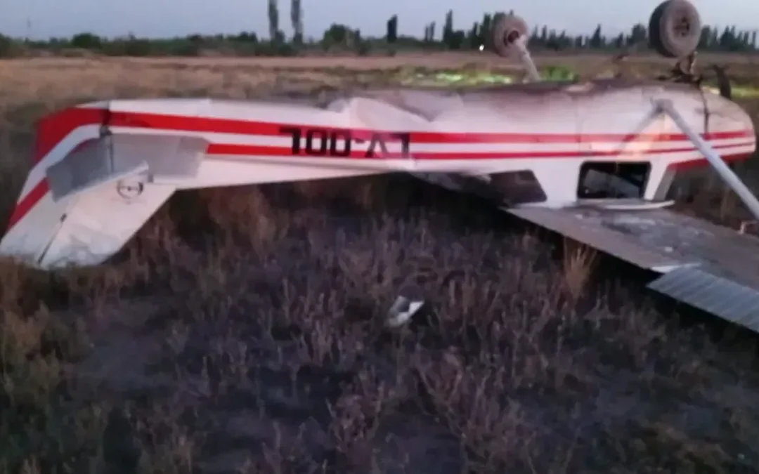 Cayó una avioneta en un barrio privado de calle Los Filtros