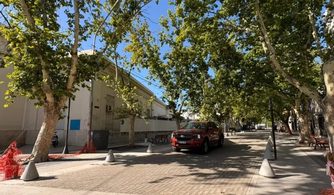 Se encuentra habilitado al tránsito el adoquinado de calle Almafuerte