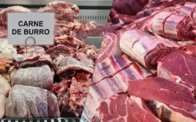 ¿Carne de burro en la mesa? La polémica alternativa ante el desplome del 10% del sector vacuno