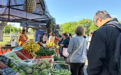 La Feria Franca recibe a la escuela Martín Güemes de La Llave