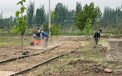 Cuadro Benegas: nivelación y forestación en el proyecto del parque lineal